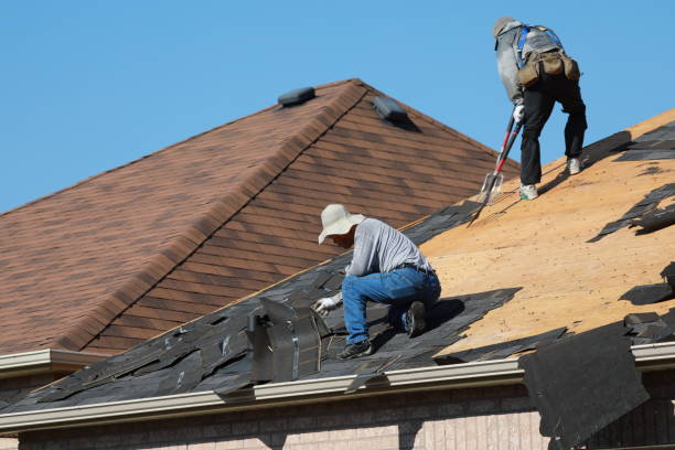 Best Asphalt Shingle Roofing  in Glen Ellen, CA